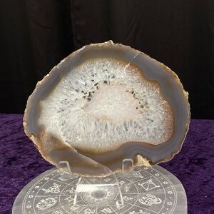 Agate Slice ⚪️✨⚪️